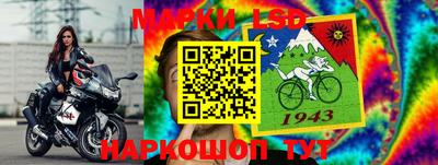 шишки Обь